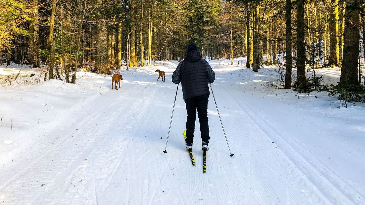 Person cross-country skiing on a snowy trail with two dogs ahead in Whistler Olympic park at Listel Whistler, a Coast Hotel