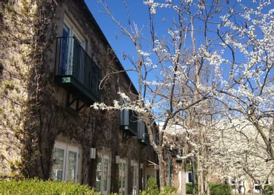Southbridge exterior with Juliette balconies in the springtime