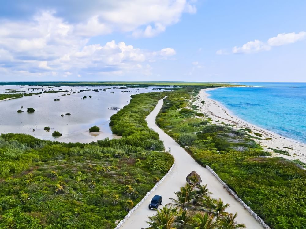 Aerial view of Punta Sur Eco Beach Park with the clear blue ocean and natural coastline near Fiesta Americana Travelty