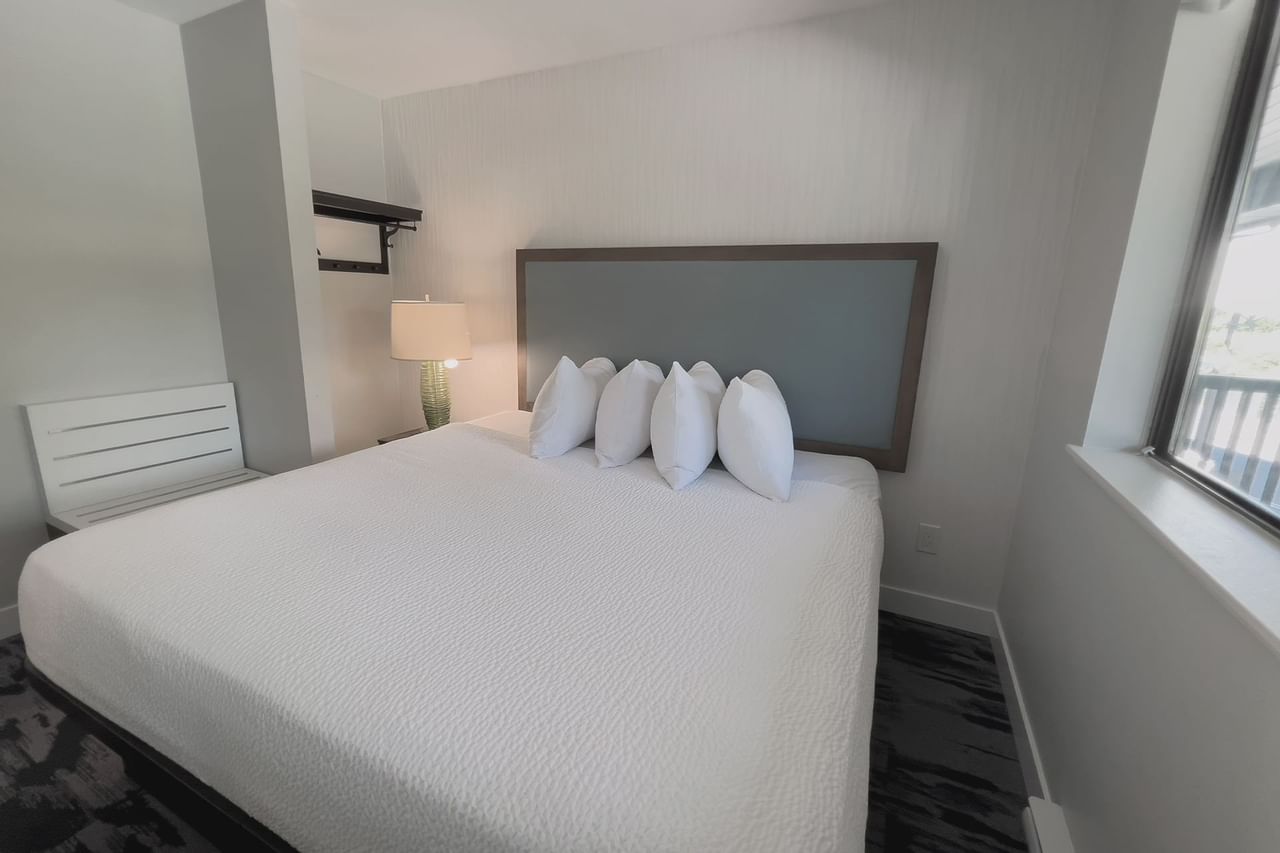 A guest room with a king bed, lamp, side table and window view