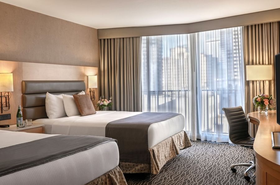 Two double beds by a black office chair under bright windows in Executive Rooms at Warwick Seattle