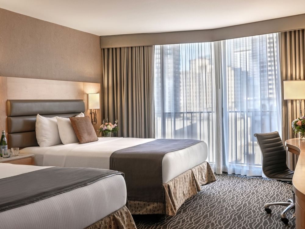 Two double beds by a black office chair under bright windows in Executive Rooms at Warwick Seattle