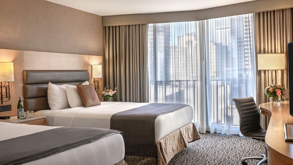 Two double beds by a black office chair under bright windows in Executive Rooms at Warwick Seattle