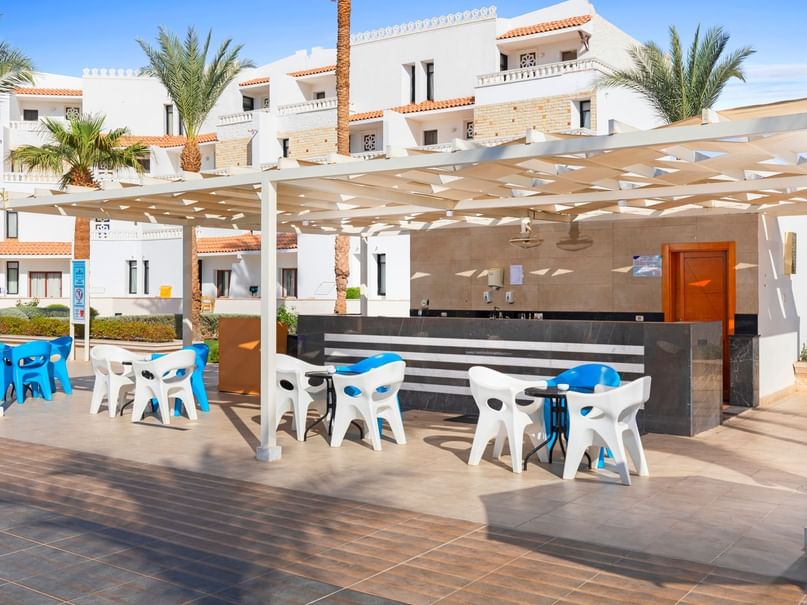 Active Pool Bar at Albatros Sharm Resort in Sharm El Sheikh