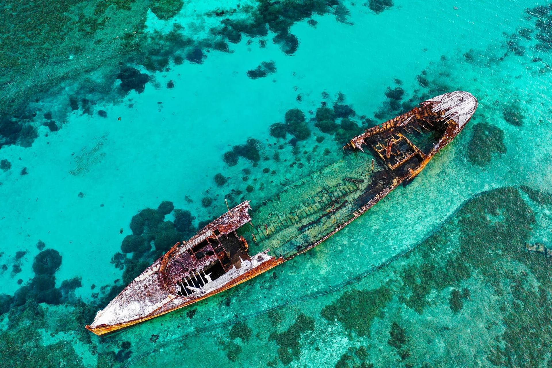 Heron Island Resort History of Heron Island Travel to Heron Island