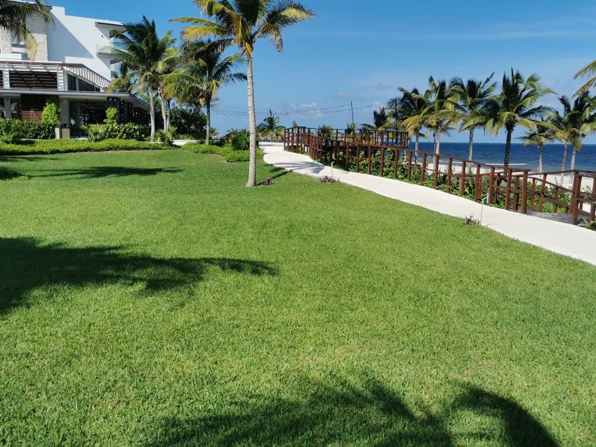 Exterior view of the lawn at Haven Riviera Cancun
