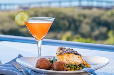 Creole Grouper at Fish Out of Water