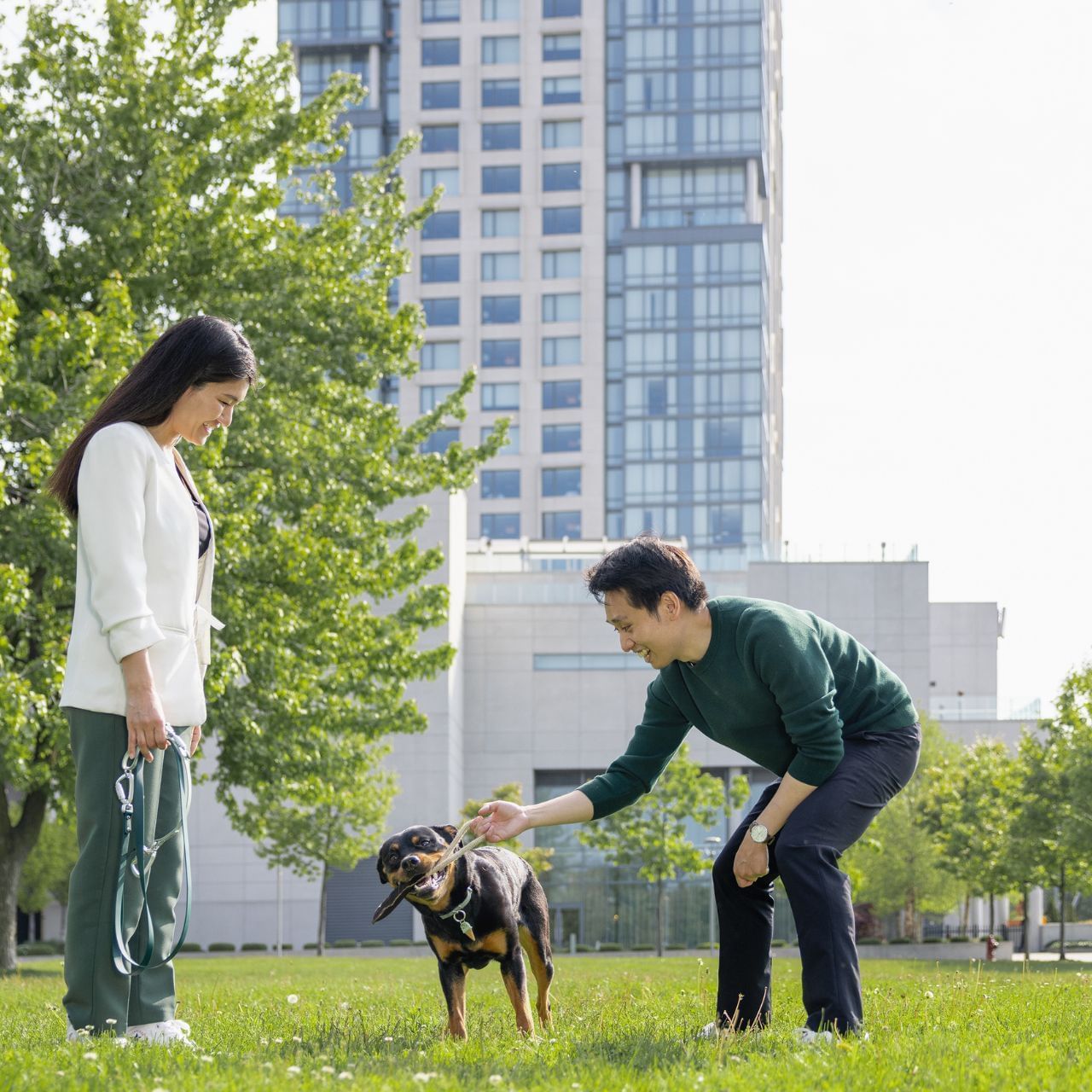 Couple playing with Rottweiler on green lawn beside modern high-rise tower facing lush trees at Hotel X Toronto