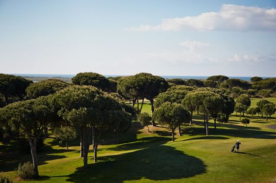 golf field at Precise Resort El Rompido