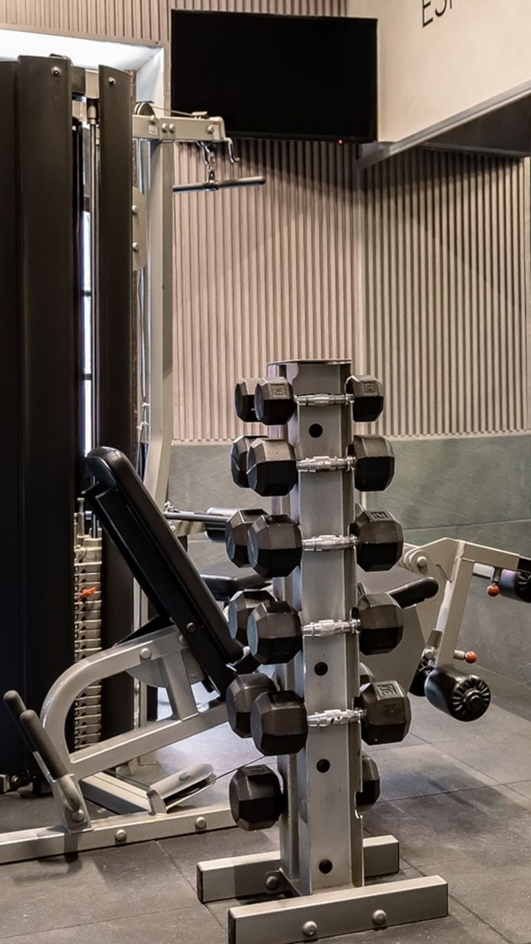 Modern hotel gym featuring a rack of black dumbbells and various strength training machines at Quinta Real Puebla