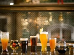 Assorted craft beers and ciders displayed on a bar counter at Last Chance Pub & Cider Mill