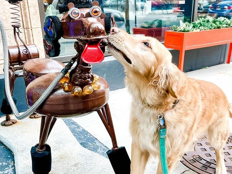Dog kissing dog statue outside of Hotel Felix.