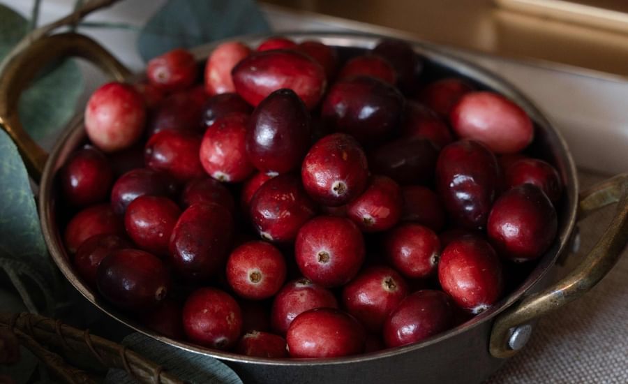 Remi's Thanksgiving Feast at Home