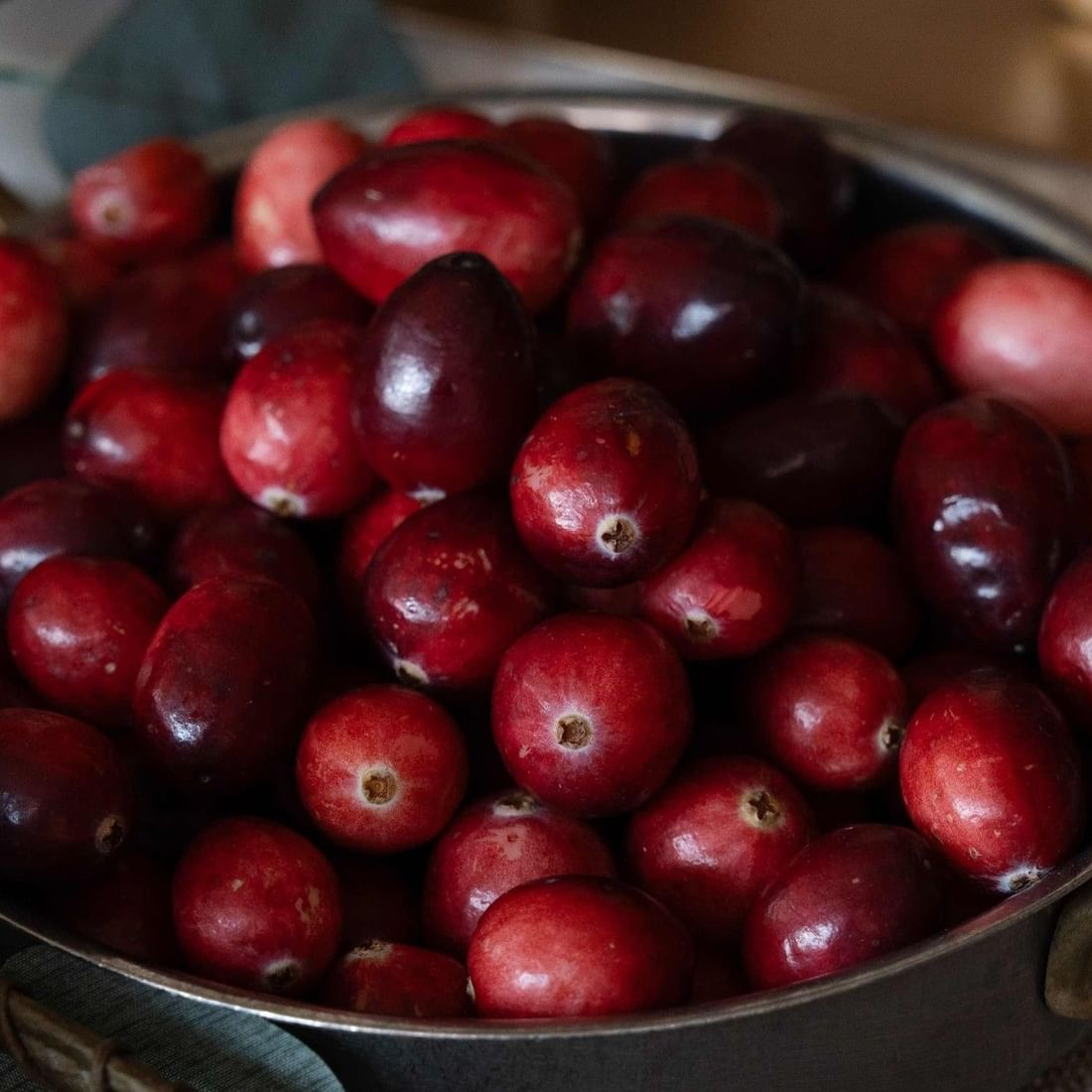 Remi's Thanksgiving Feast at Home