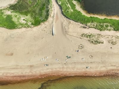 Aerial top-down view of a sandy beach and green shoreline at Rodd Crowbush Golf & Beach Resort