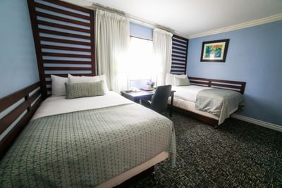 double double beds room