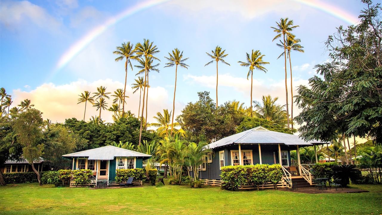 Tropical cottages with white roofs surrounded by lush greenery, tall palm trees, and a vibrant rainbow in the sky.