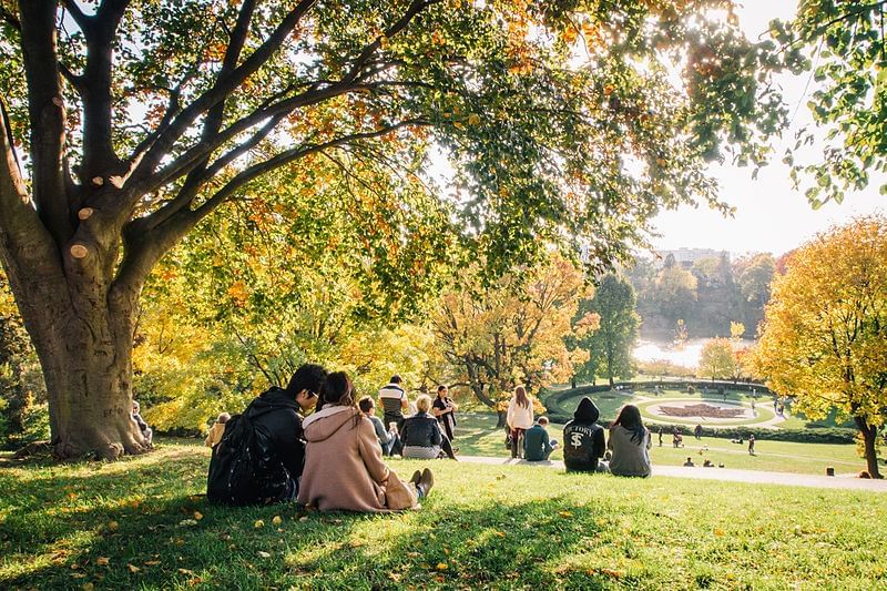High Park |  25 Awesome Things To Do In Toronto | King Blue Hotel Blog