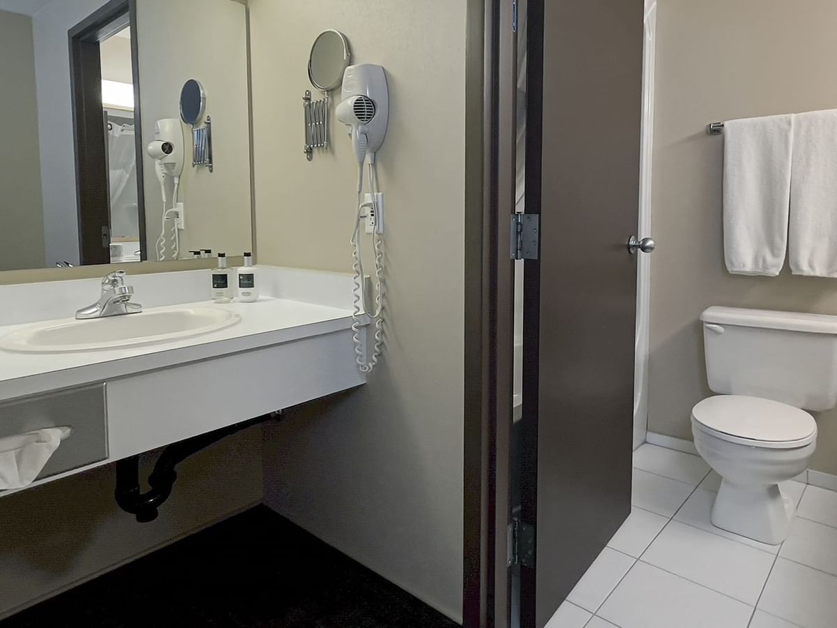 Bathroom with toilet, sink, mirror, and hairdryer