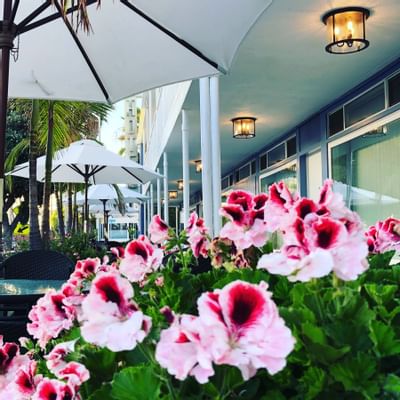 Exterior of hotel with umbrellas and flowers