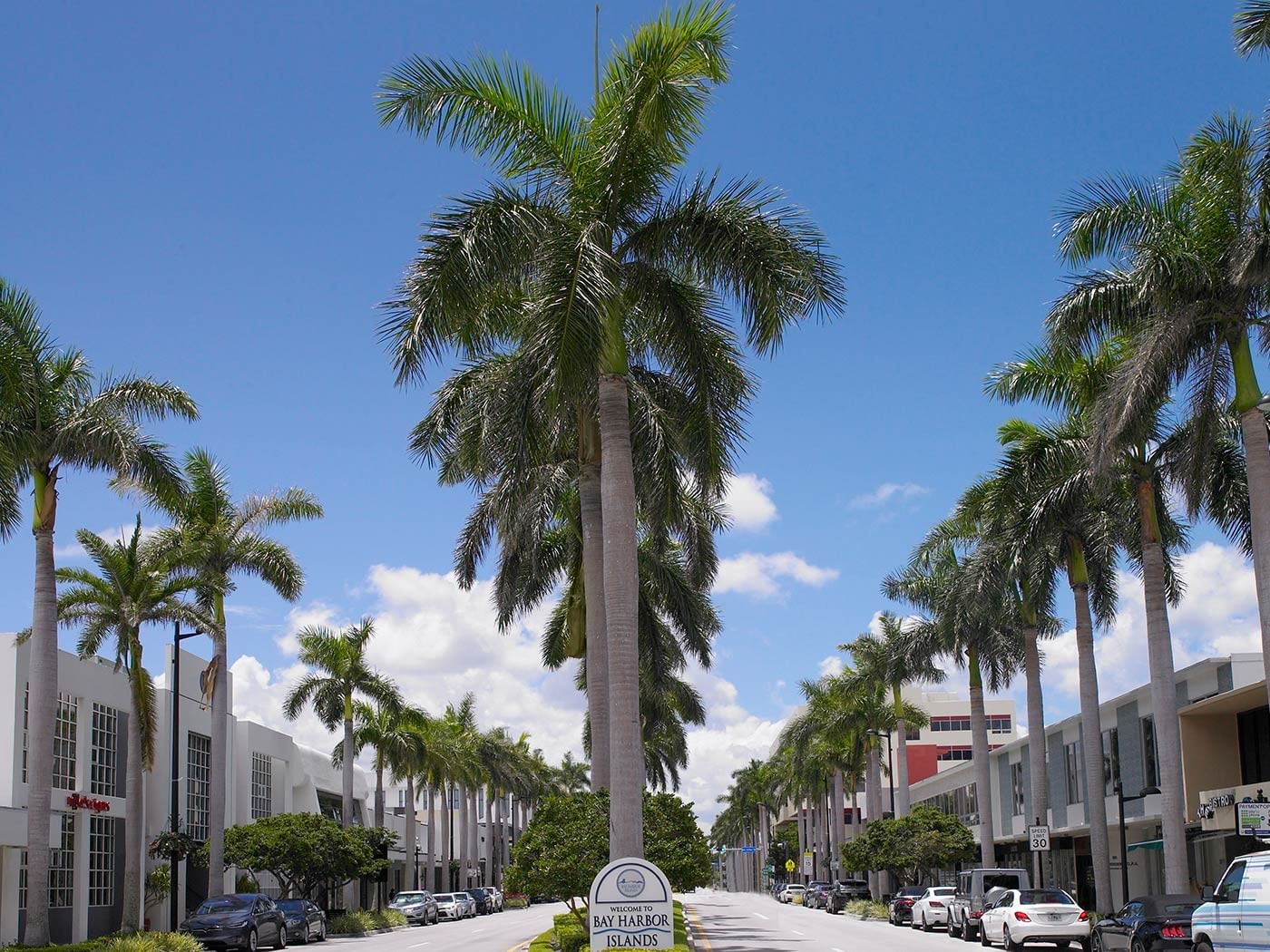A street view of a neighborhood with palm trees and a welcome sign