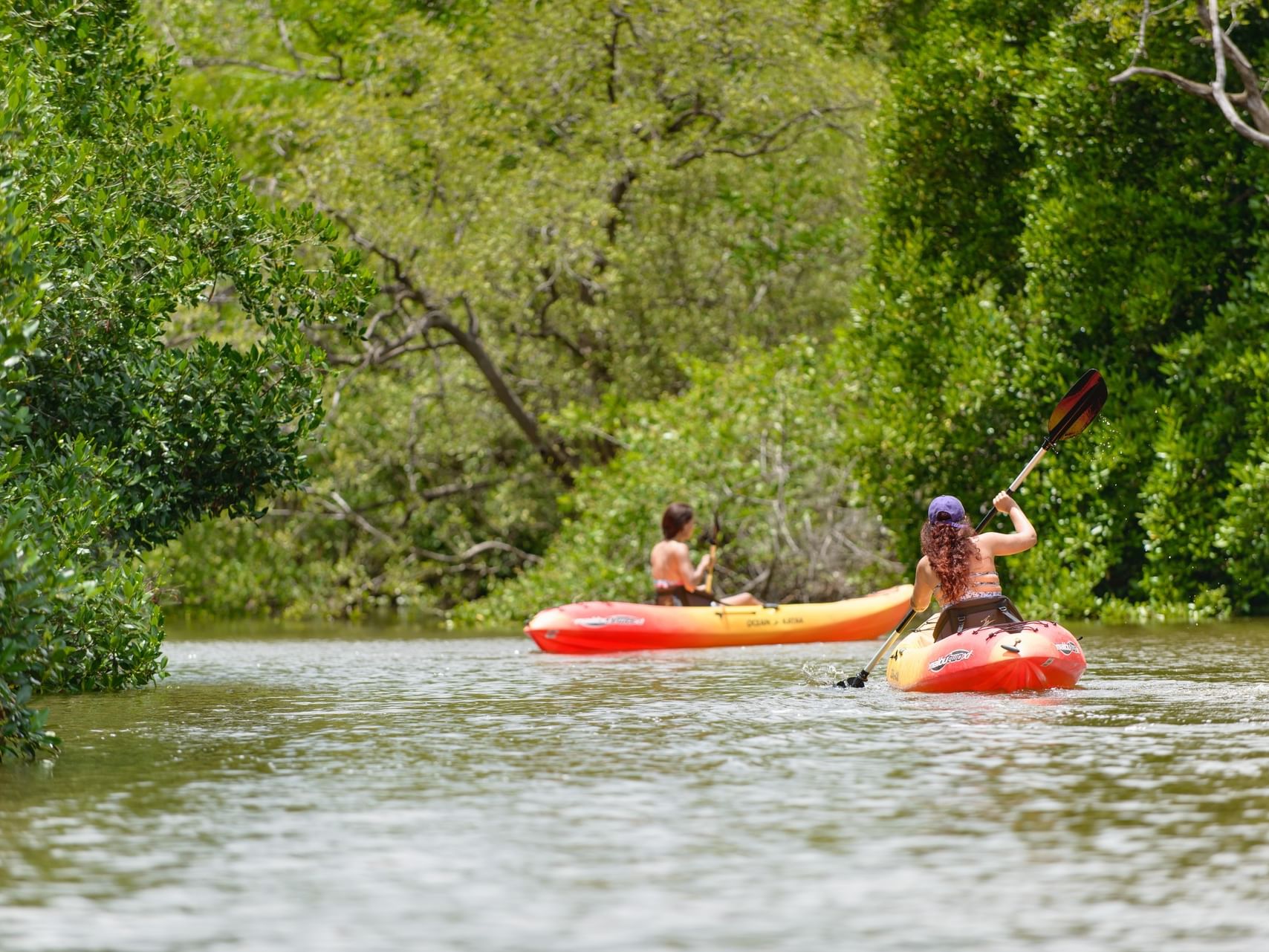 Guests in kayaks on a river surrounding thick mangroves near Morgan's Rock Reserve & Ecolodge