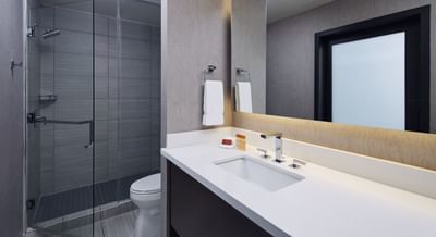 Bathroom vanity & lavatory in Suite King at The Nest Palo Alto