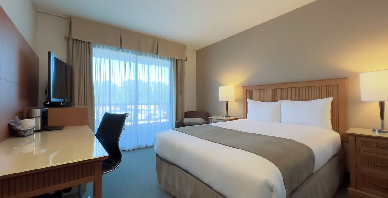 Hotel room with queen bed, TV, work desk, chair, and coffee maker