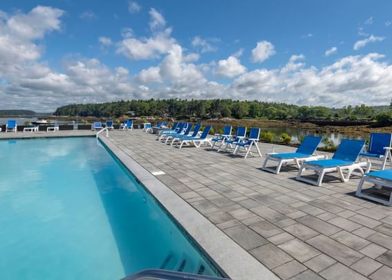 Sunbeds by the outdoor saltwater pool on a sunny day at Sebasco Harbor Resort