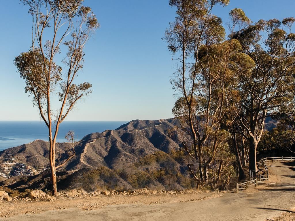 Catalina Airport with trees and distant mountains near Catalina Island Company