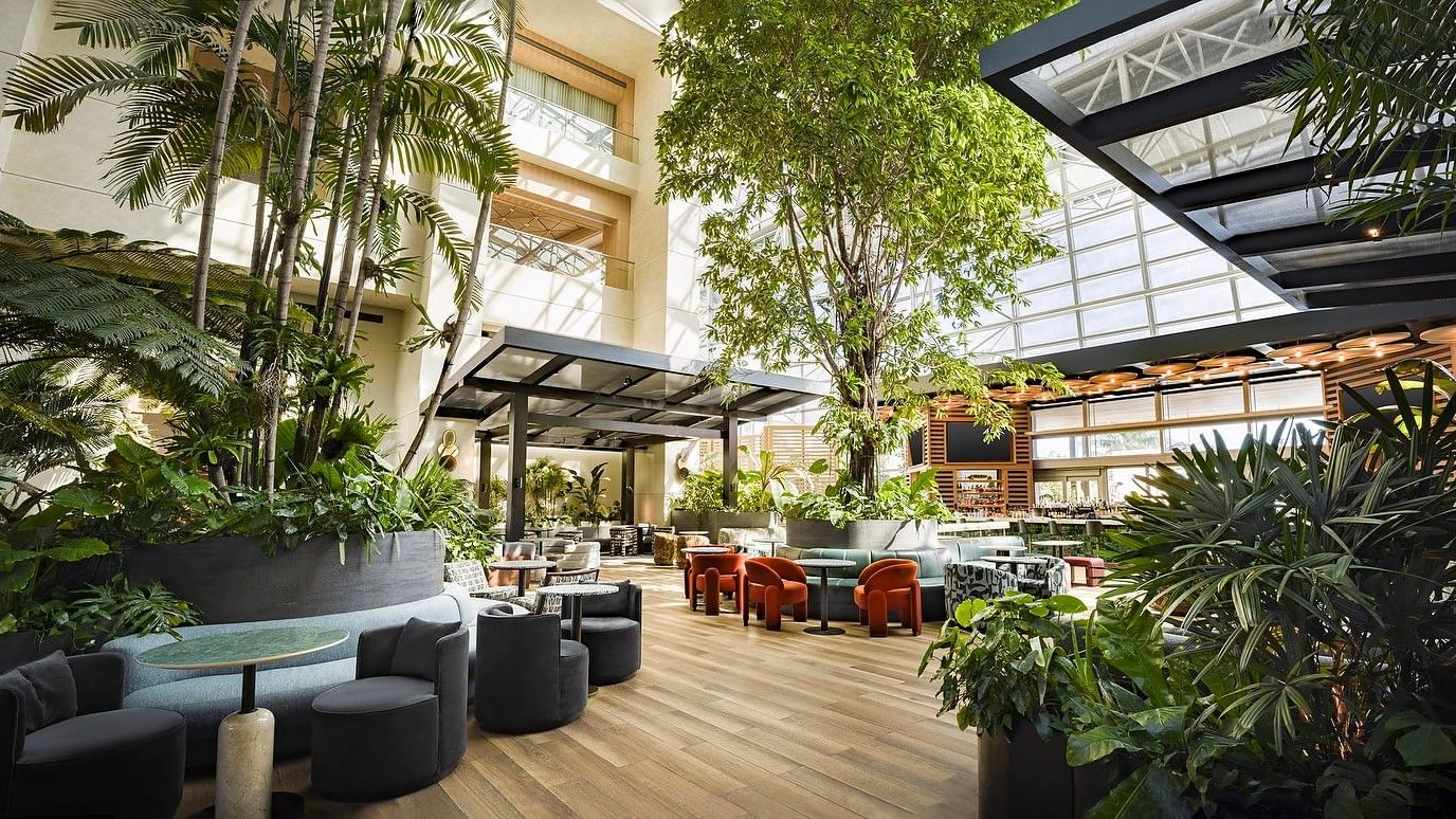 Stylish lobby lounge with plush seating and contemporary bar design.