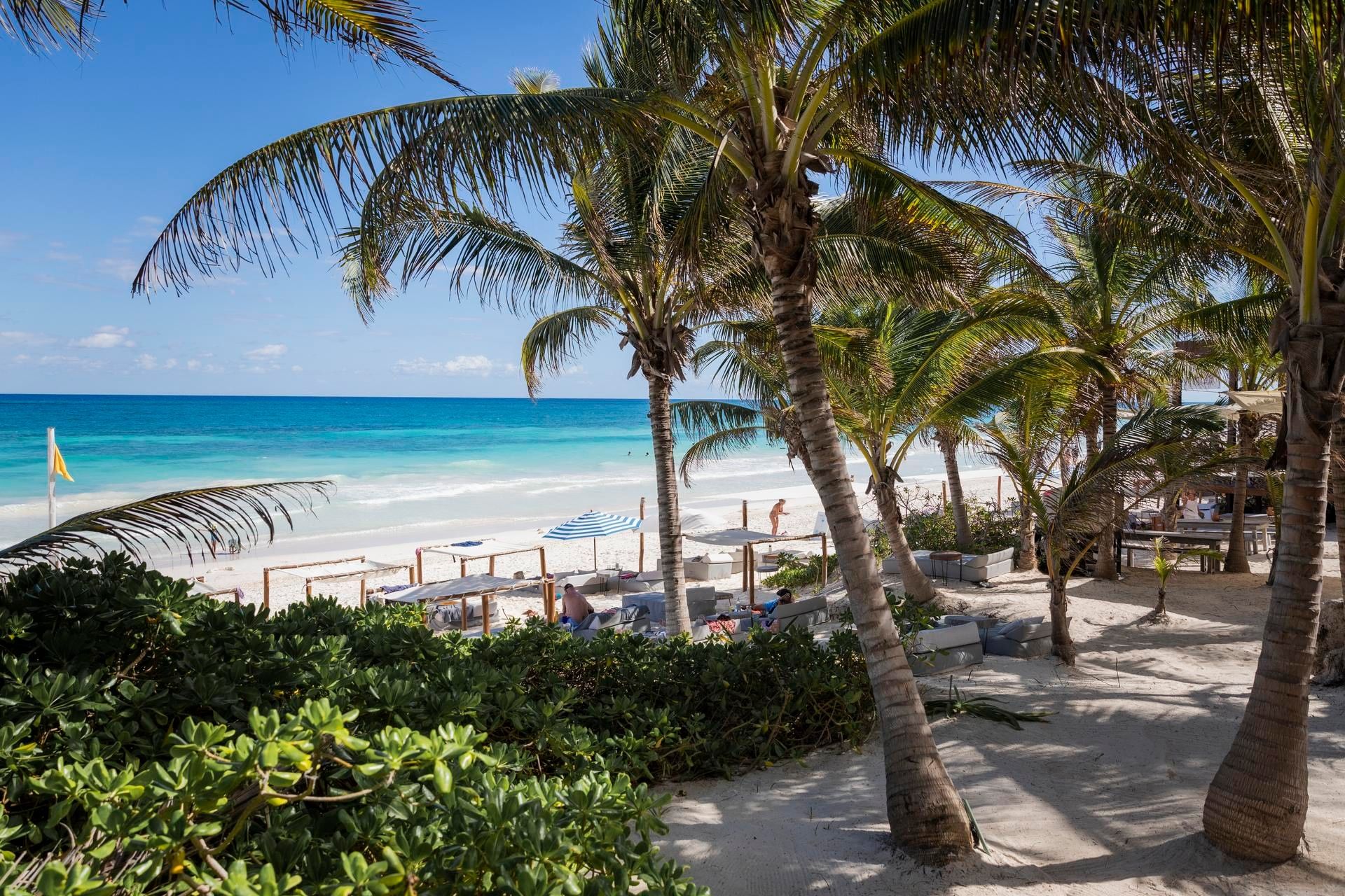 Palm trees, shaded beach beds and the turquoise Caribbean at La Zebra