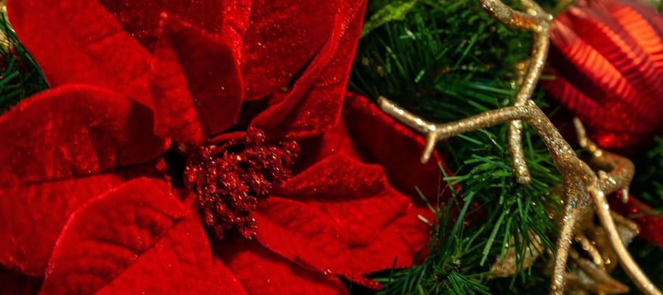 Close-up of Christmas decor used at Orsett Hall Hotel