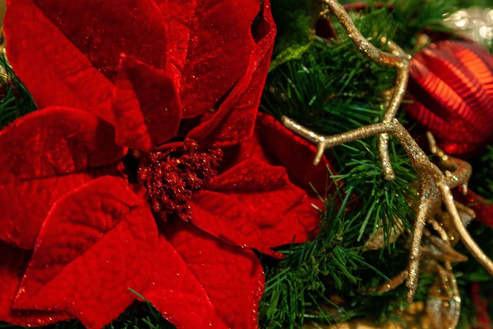 Close-up of Christmas decor used at Orsett Hall Hotel