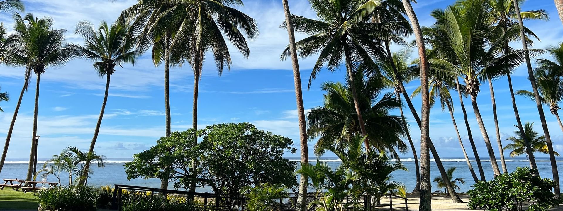 Pool overlooking the beach and ocean with tropical trees at Tambua Sands Beach Resort in Sigatoka