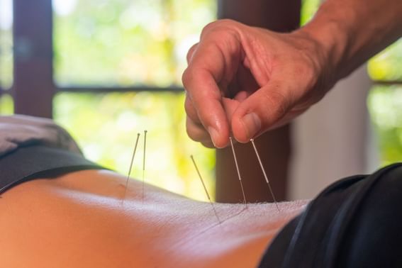 Holistic Offerings at Tierra Magnífica Hotel in Guanacaste, Costa Rica