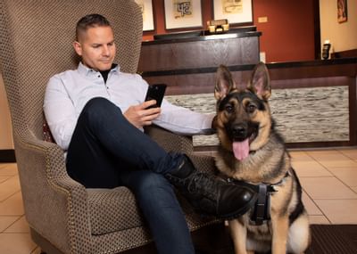 Man sitting on a sofa with a dog at Hotel 43