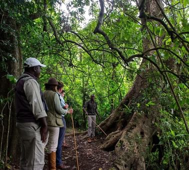 Hikers in a hike at Lake Duluti near Arusha Serena Hotels