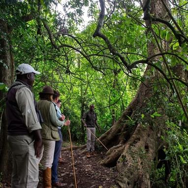 Hikers in a hike at Lake Duluti near Arusha Serena Hotels