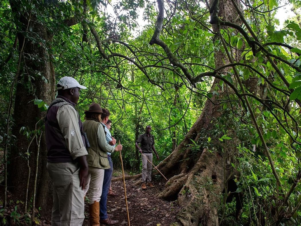 Hikers in a hike at Lake Duluti near Arusha Serena Hotels