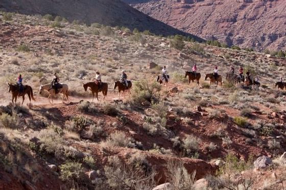 Cowboys, horses, dusty trails, family fun, outdoor adventure