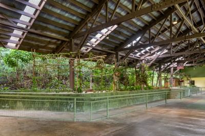 Green enclosure surrounded by tropical vegetation under a metal-clad roof at Gamboa Rainforest Resort