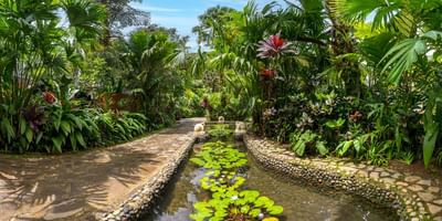 hotel hideaway rio celeste
