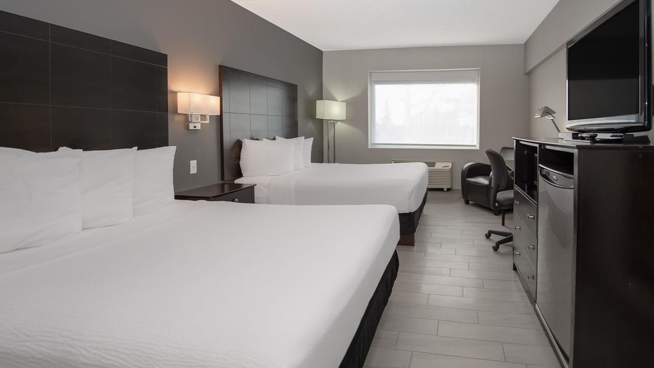 Two queen beds, TV, window, and dresser in a hotel room.