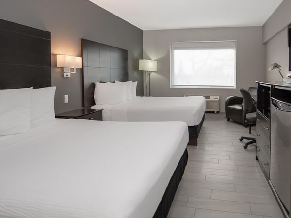 Two queen beds, TV, and desk in a pet friendly hotel room.