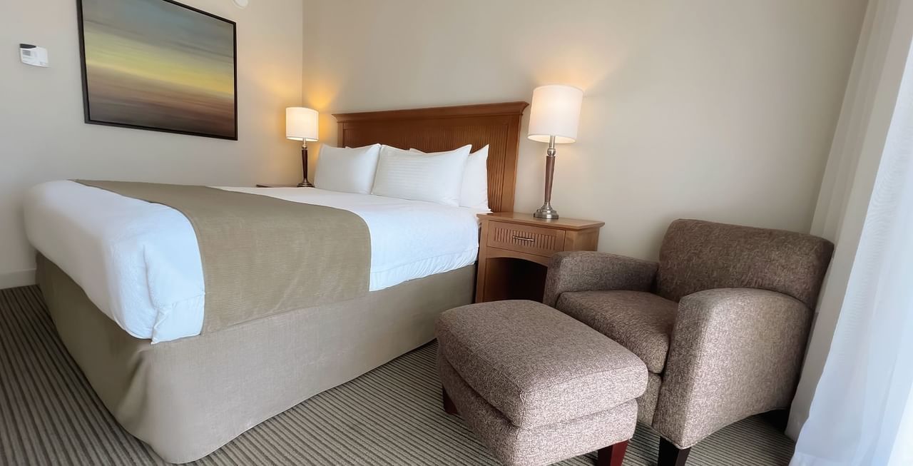 Hotel room with king bed, sofa, nightstand, and lamps