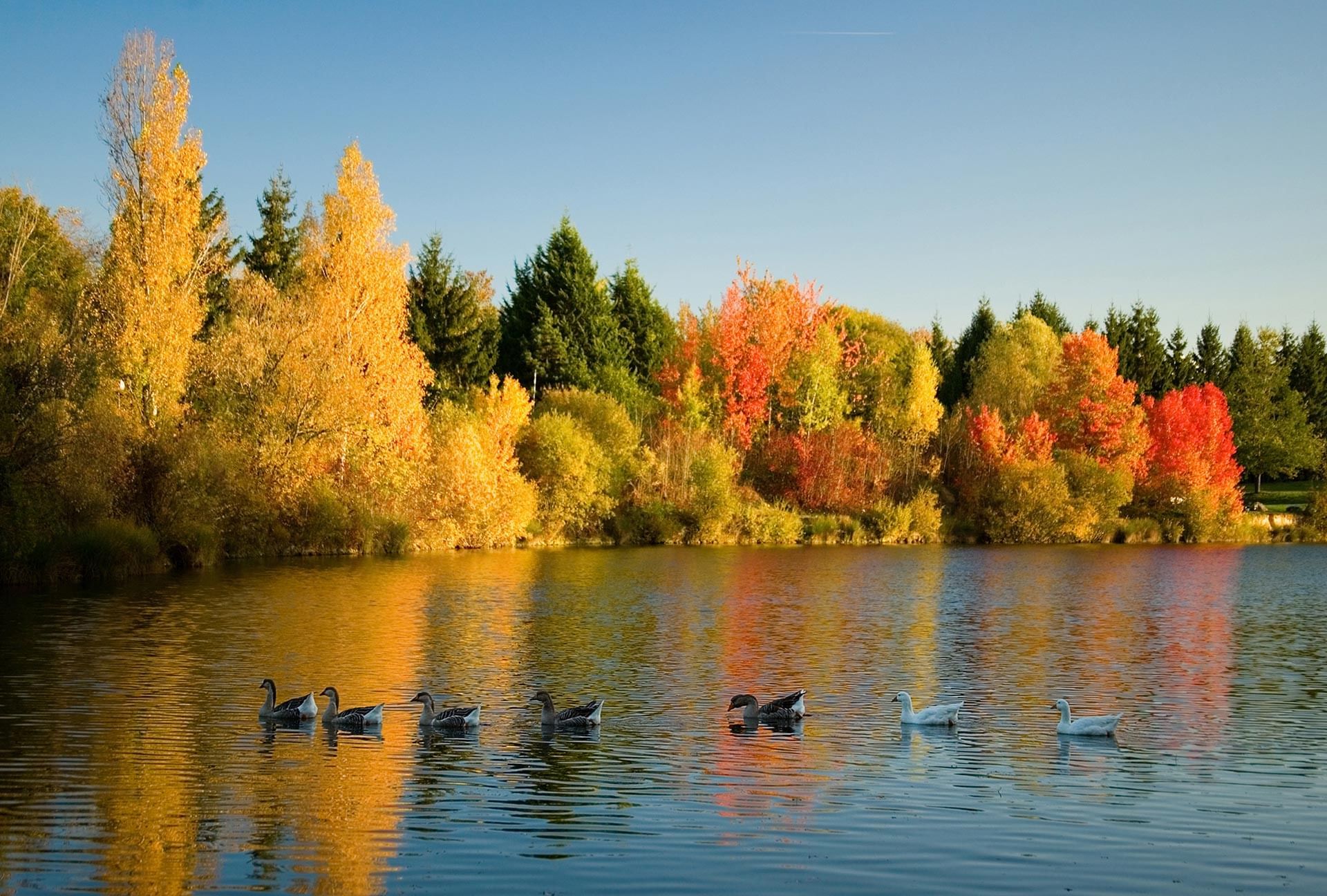 Belek River and Birds