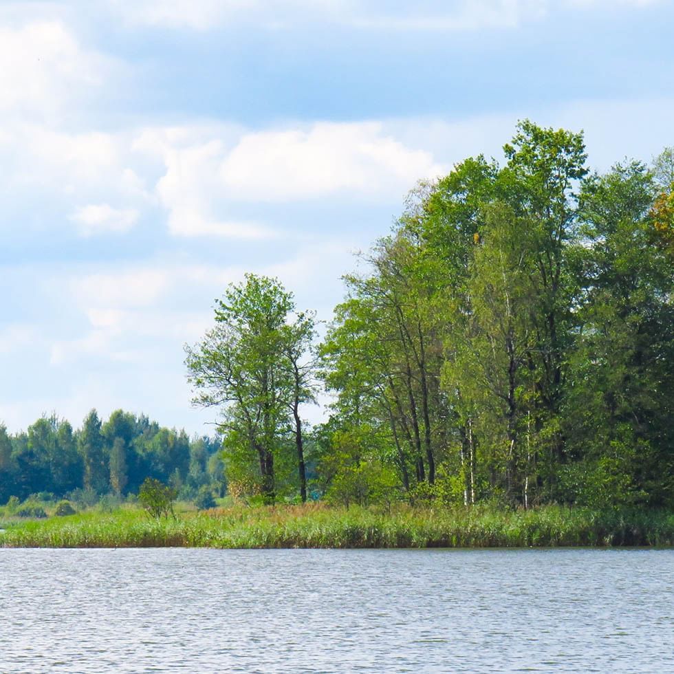 Rauchwarter See with greenery near Falkensteiner Balance Resort Stegersbach