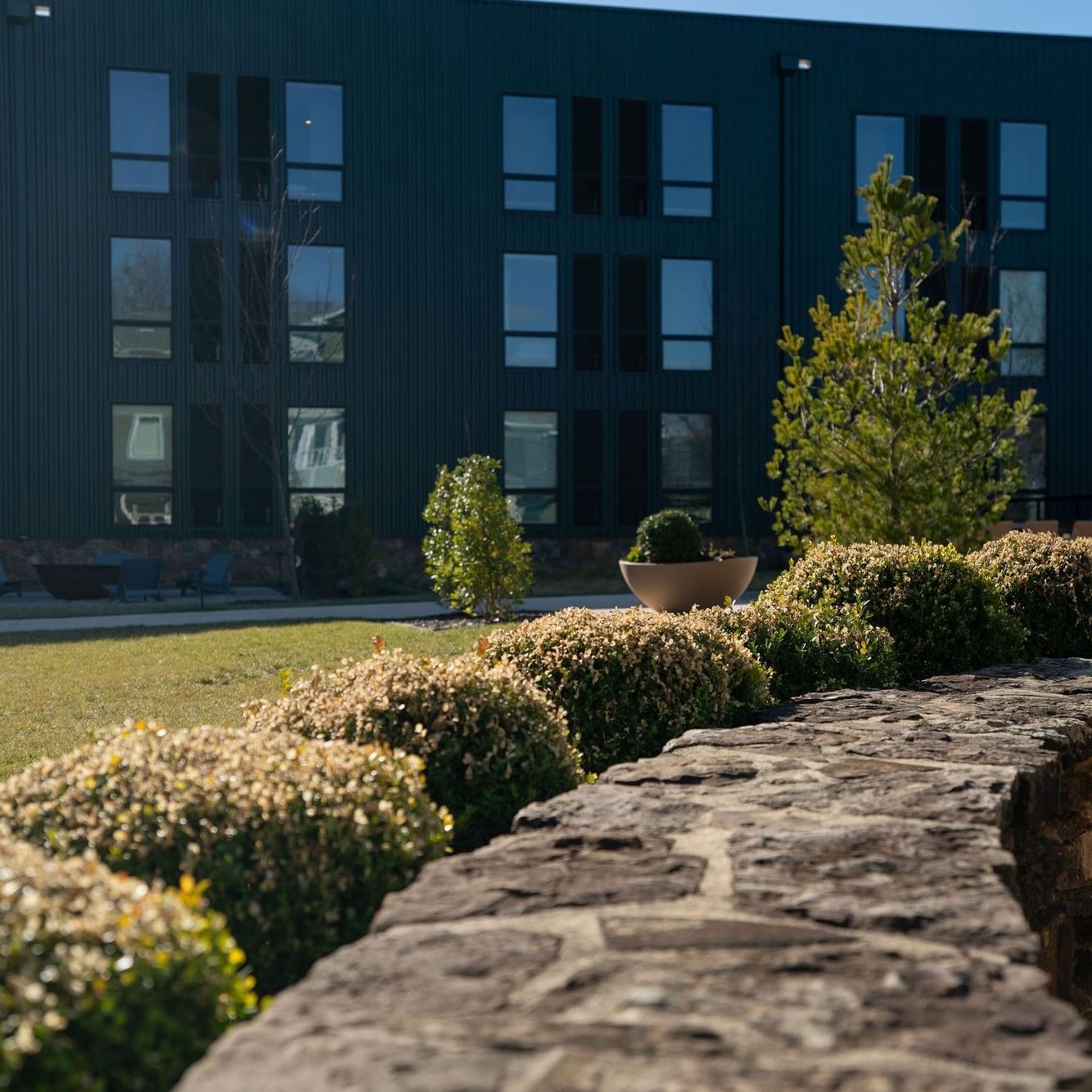 Stone wall and trimmed bushes in front of a modern building for Spring Flow on the Hill.