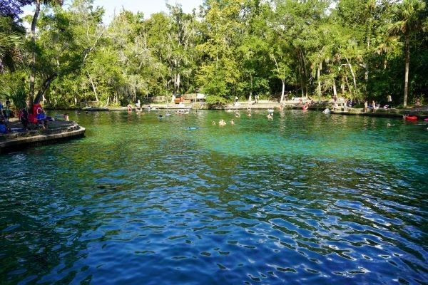 Activities in springs at Wekiwa Springs State Park